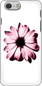 Carcasa Daisy Burgundy for Iphone 6 4.7