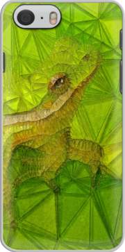 Carcasa hidden frog for Iphone 6 4.7