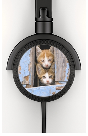  Cute curious kittens in an old window para Auriculares estéreo
