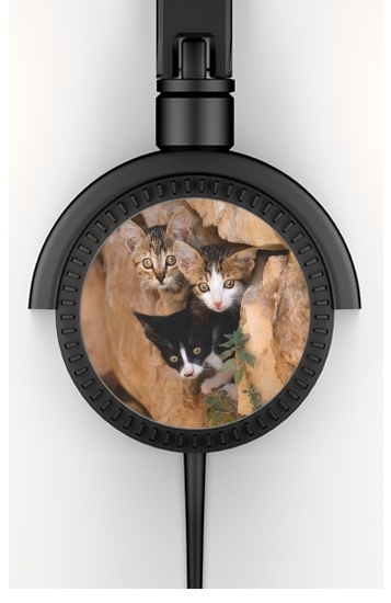  Three cute kittens in a wall hole para Auriculares estéreo