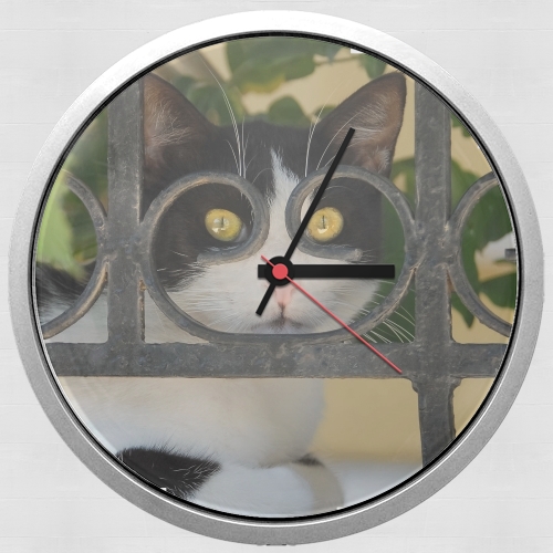  Cat with spectacles frame, she looks through a wrought iron fence para Reloj de pared