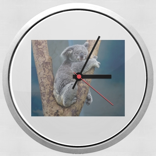  Koala Bear Australia para Reloj de pared