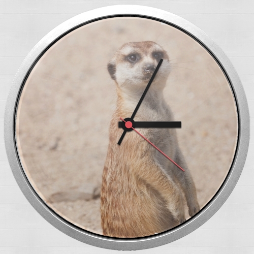  Meerkat para Reloj de pared