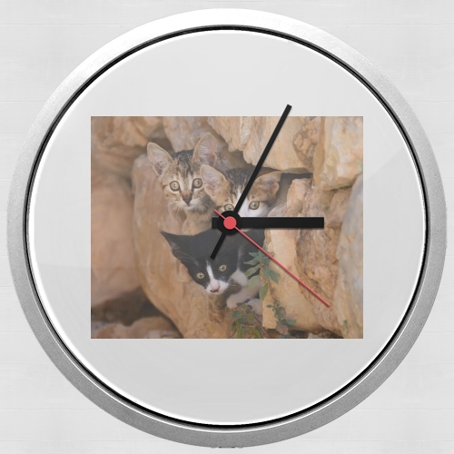  Three cute kittens in a wall hole para Reloj de pared