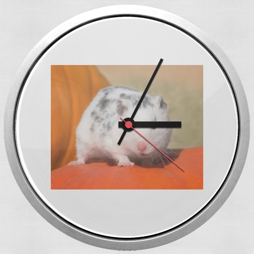  White Dalmatian Hamster with black spots  para Reloj de pared
