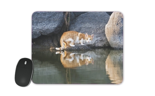  Cat Reflection in Pond Water para alfombrillas raton
