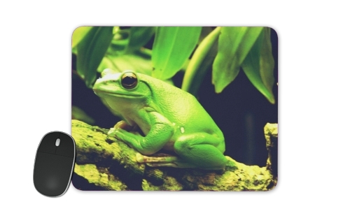  Green Frog para alfombrillas raton