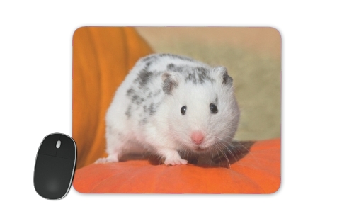  White Dalmatian Hamster with black spots  para alfombrillas raton