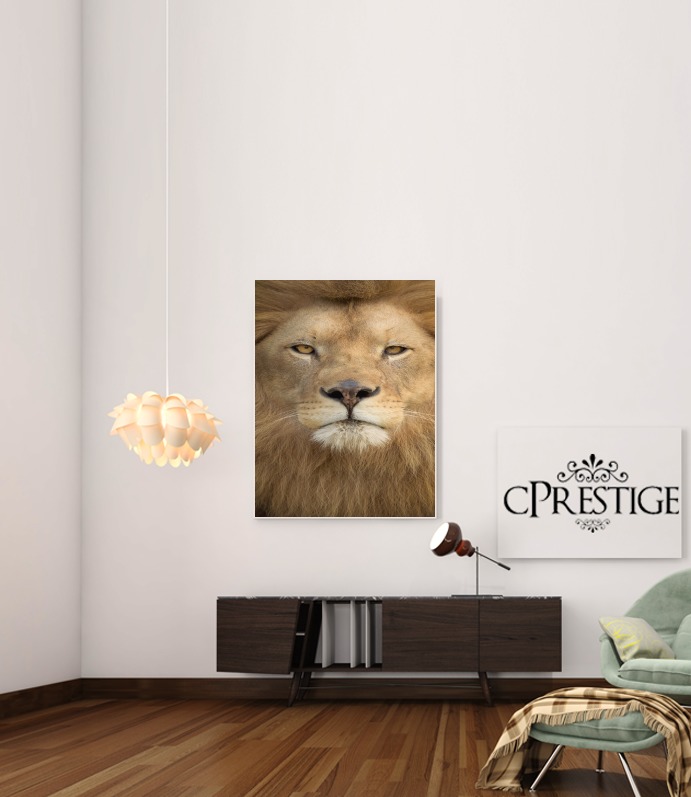  Africa Lion para Poster adhesivas 30 * 40 cm