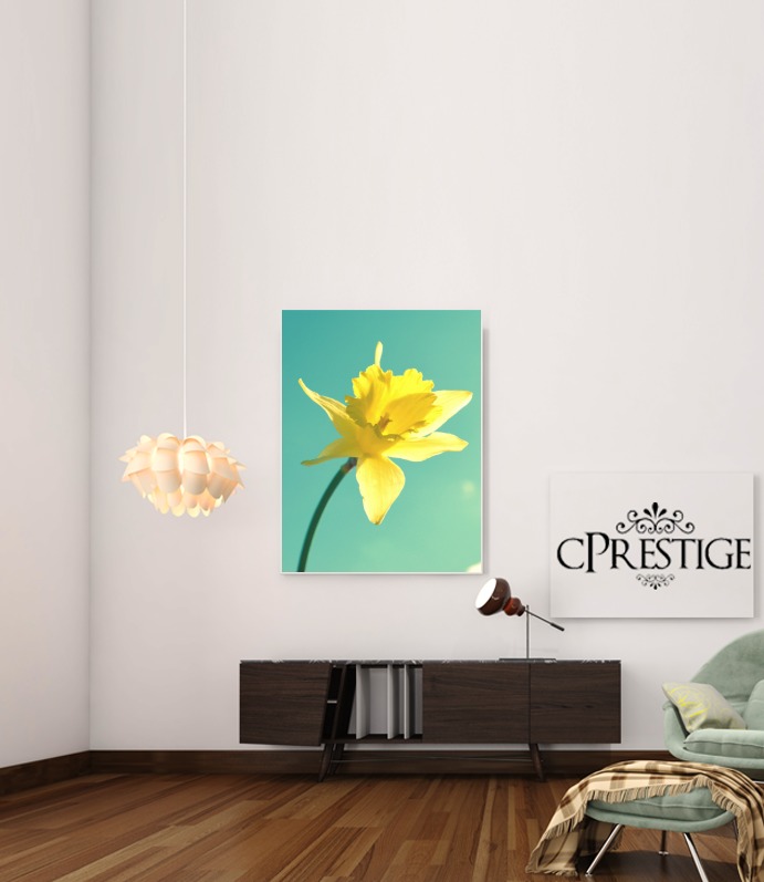  Daffodil para Poster adhesivas 30 * 40 cm