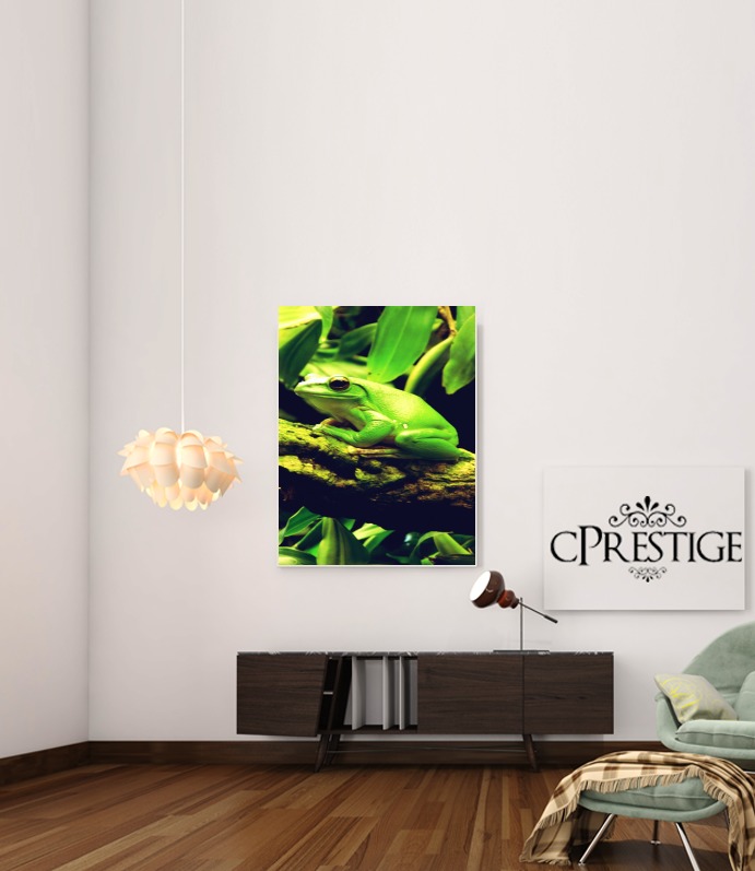  Green Frog para Poster adhesivas 30 * 40 cm
