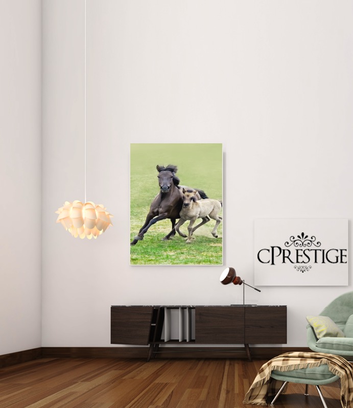  Horses, wild Duelmener ponies, mare and foal para Poster adhesivas 30 * 40 cm