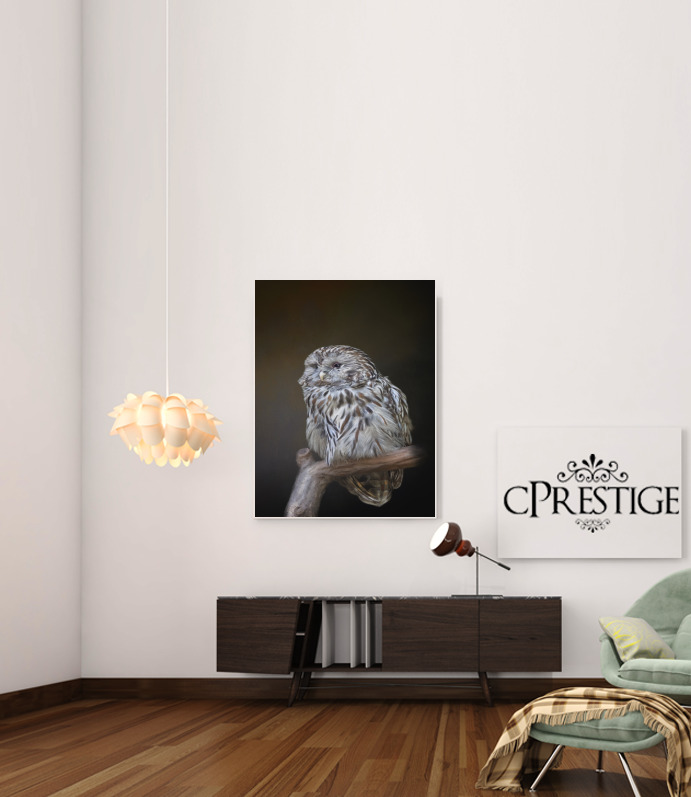  Lovely cute owl para Poster adhesivas 30 * 40 cm
