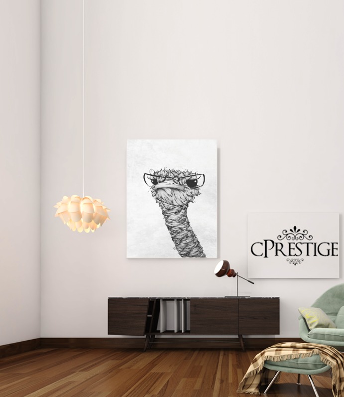  Ostrich para Poster adhesivas 30 * 40 cm