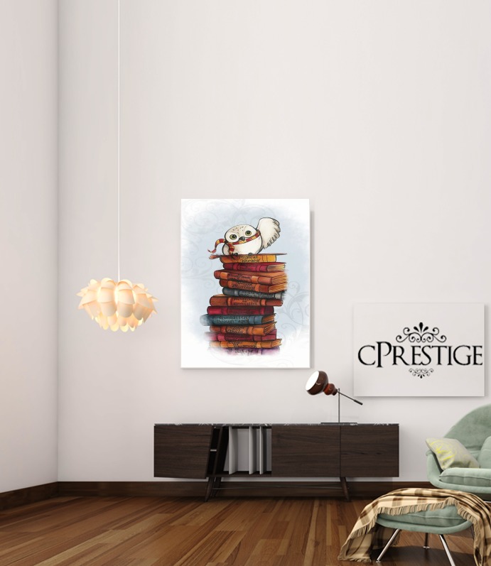  Owl and Books para Poster adhesivas 30 * 40 cm
