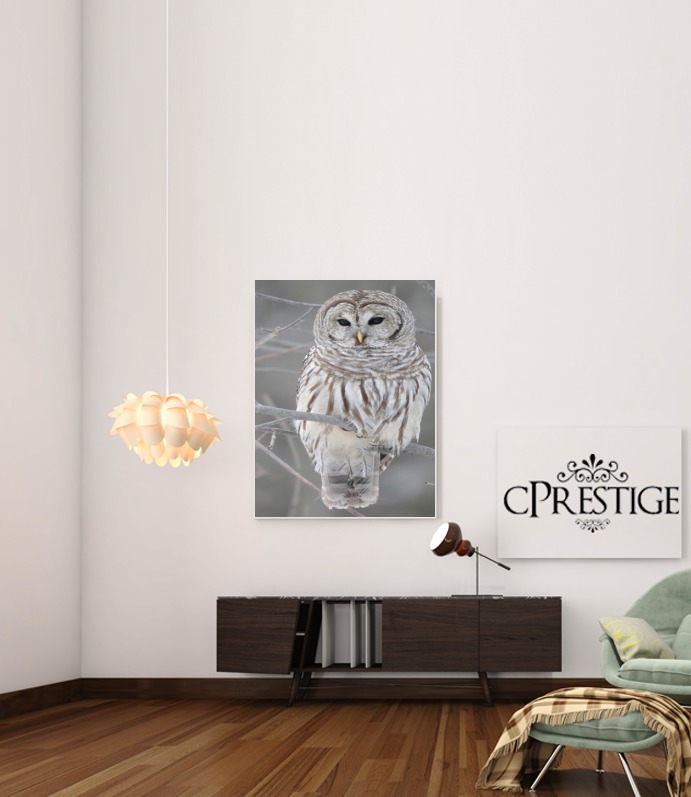  owl bird on a branch para Poster adhesivas 30 * 40 cm
