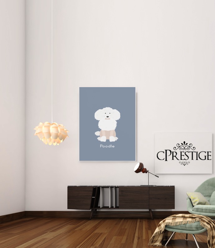  Poodle White para Poster adhesivas 30 * 40 cm
