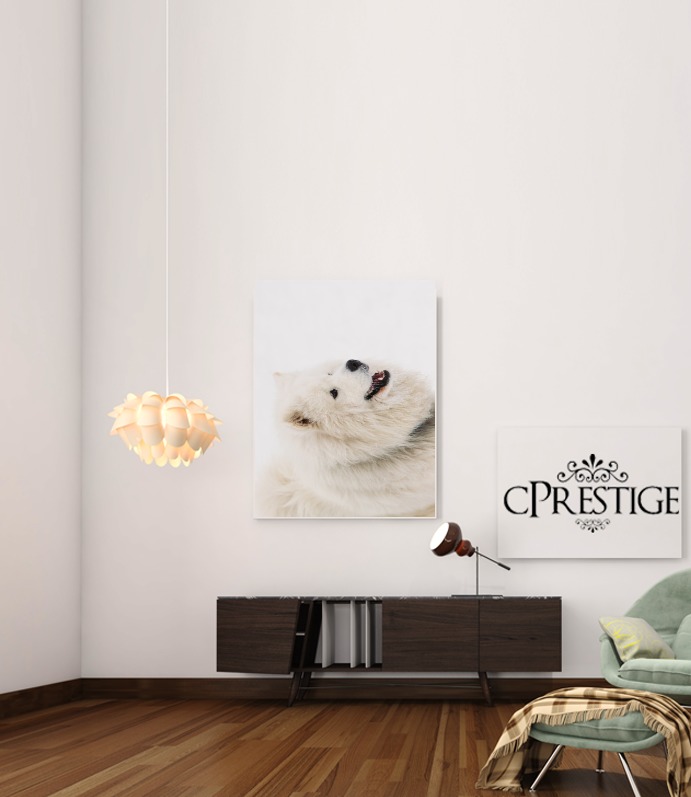  samoyede dog para Poster adhesivas 30 * 40 cm