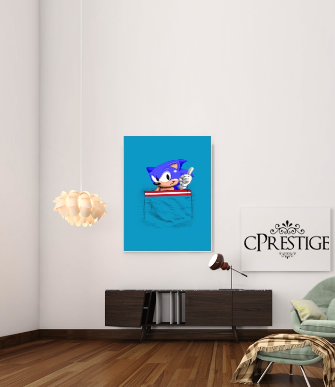  Sonic in the pocket para Poster adhesivas 30 * 40 cm