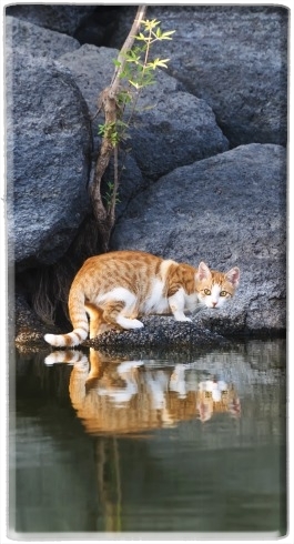  Cat Reflection in Pond Water para batería de reserva externa portable 1000mAh Micro USB