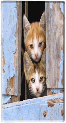  Cute curious kittens in an old window para batería de reserva externa 7000 mah Micro USB