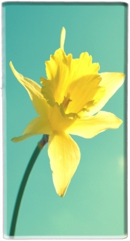  Daffodil para batería de reserva externa portable 1000mAh Micro USB