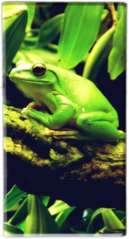  Green Frog para batería de reserva externa portable 1000mAh Micro USB