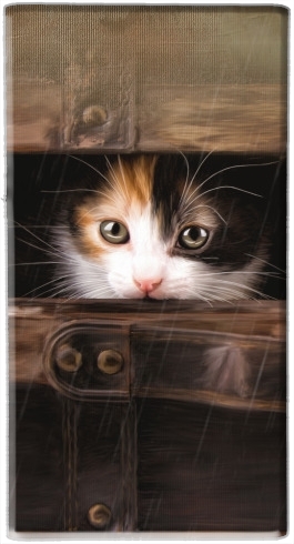  Little cute kitten in an old wooden case para batería de reserva externa portable 1000mAh Micro USB