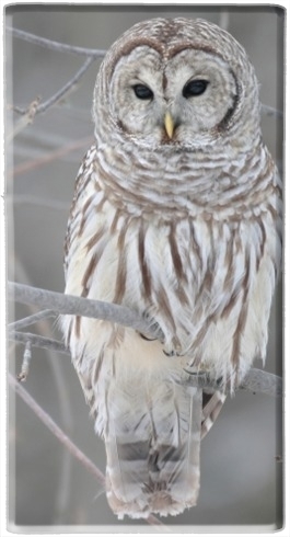  owl bird on a branch para batería de reserva externa portable 1000mAh Micro USB
