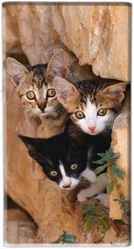  Three cute kittens in a wall hole para batería de reserva externa portable 1000mAh Micro USB