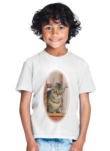  Cute kitten on a rusty iron door  para Camiseta de los niños