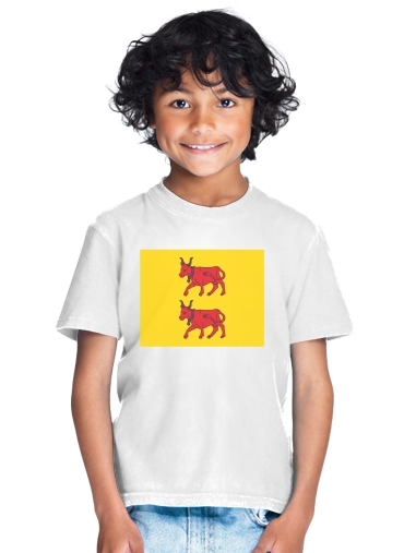 Drapeau Province du Bearn para Camiseta de los niños
