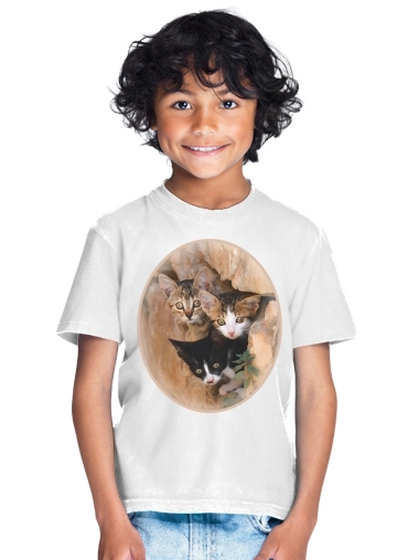  Three cute kittens in a wall hole para Camiseta de los niños