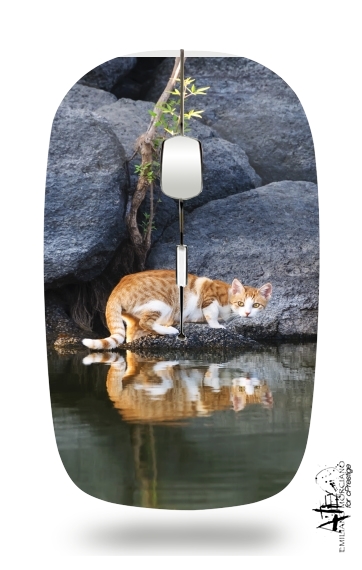  Cat Reflection in Pond Water para Ratón óptico inalámbrico con receptor USB