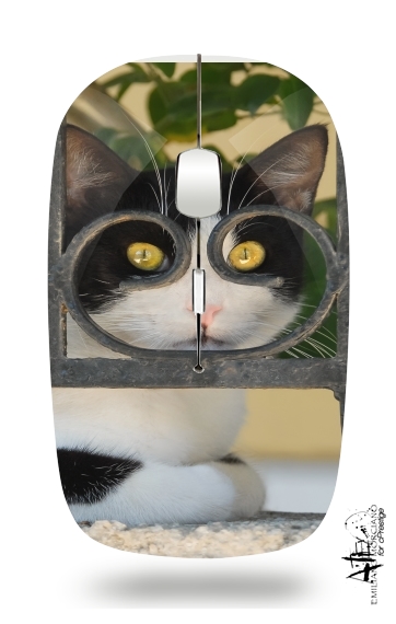  Cat with spectacles frame, she looks through a wrought iron fence para Ratón óptico inalámbrico con receptor USB