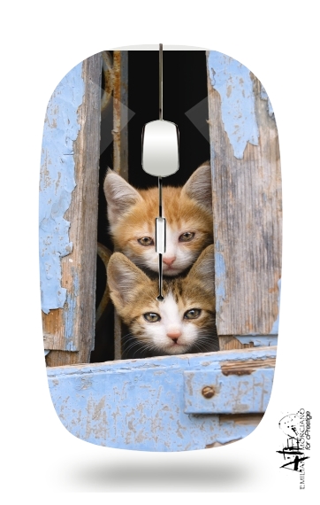 Cute curious kittens in an old window para Ratón óptico inalámbrico con receptor USB
