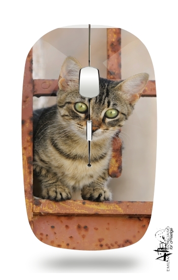  Cute kitten on a rusty iron door  para Ratón óptico inalámbrico con receptor USB