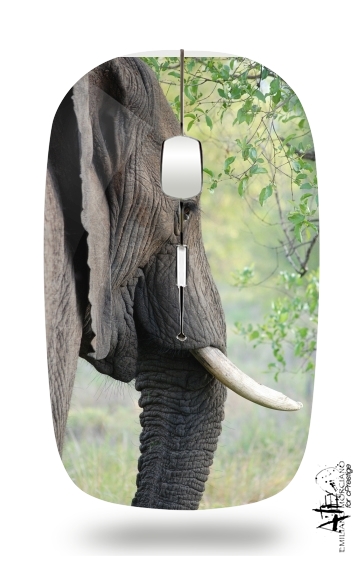  Elephant para Ratón óptico inalámbrico con receptor USB
