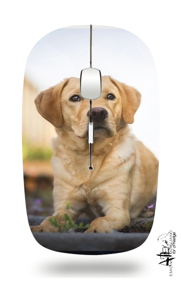  Labrador Dog para Ratón óptico inalámbrico con receptor USB