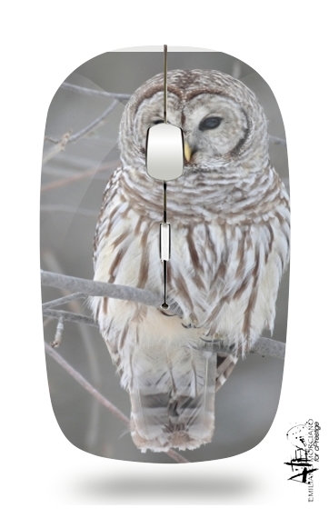  owl bird on a branch para Ratón óptico inalámbrico con receptor USB