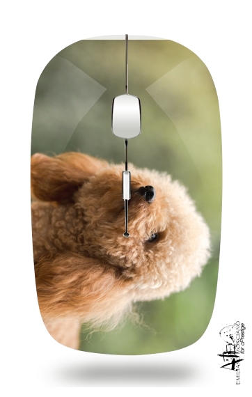  poodle on grassy field para Ratón óptico inalámbrico con receptor USB