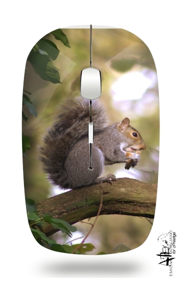  squirrel gentle para Ratón óptico inalámbrico con receptor USB