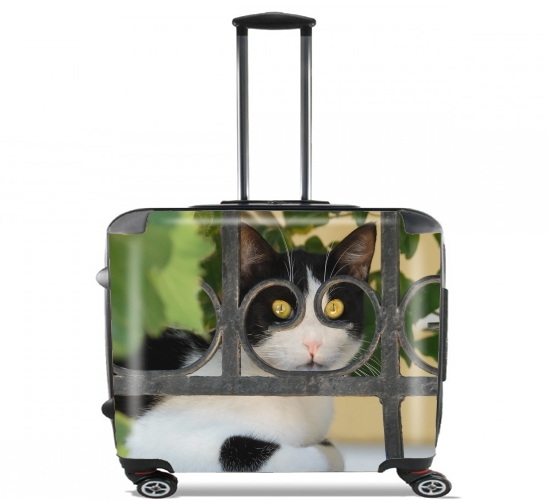 Cat with spectacles frame, she looks through a wrought iron fence para Ruedas cabina bolsa de equipaje maleta trolley 17" laptop