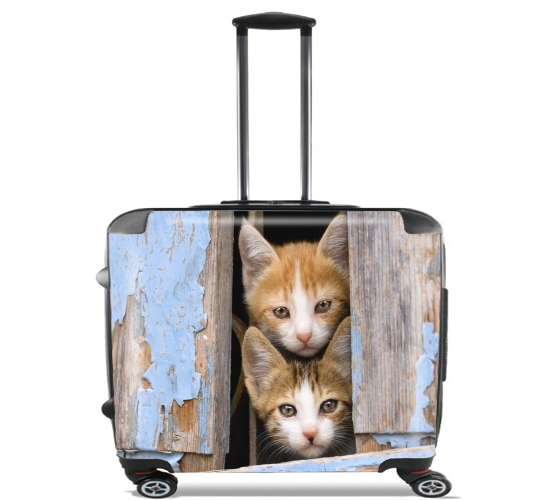  Cute curious kittens in an old window para Ruedas cabina bolsa de equipaje maleta trolley 17" laptop