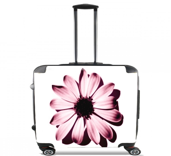  Daisy Burgundy para Ruedas cabina bolsa de equipaje maleta trolley 17" laptop
