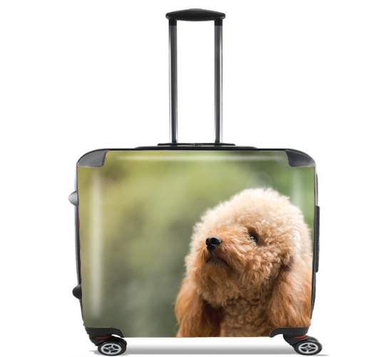  poodle on grassy field para Ruedas cabina bolsa de equipaje maleta trolley 17" laptop