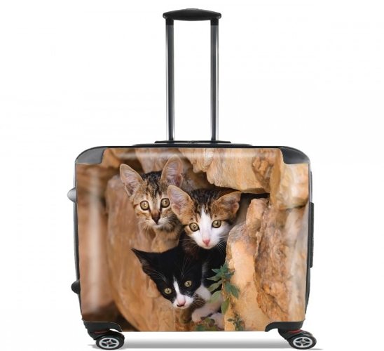  Three cute kittens in a wall hole para Ruedas cabina bolsa de equipaje maleta trolley 17" laptop