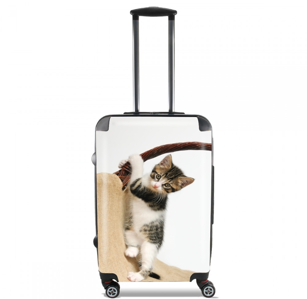 Gato del bebé, escalada lindo gatito para Tamaño de cabina maleta