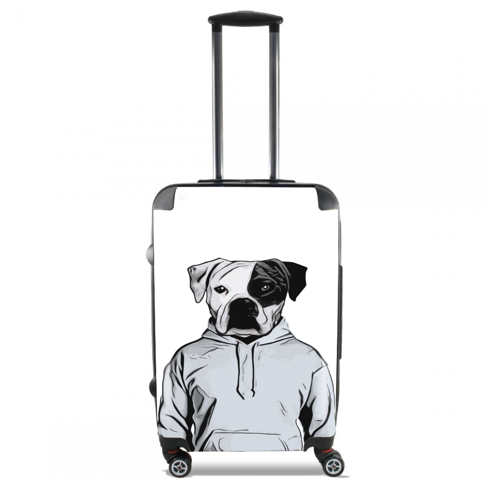  Cool Dog para Tamaño de cabina maleta