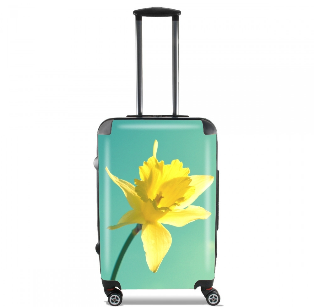  Daffodil para Tamaño de cabina maleta